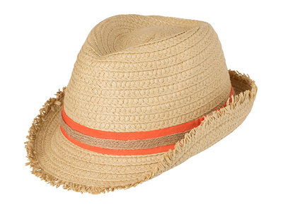 Trendy Summer Hat